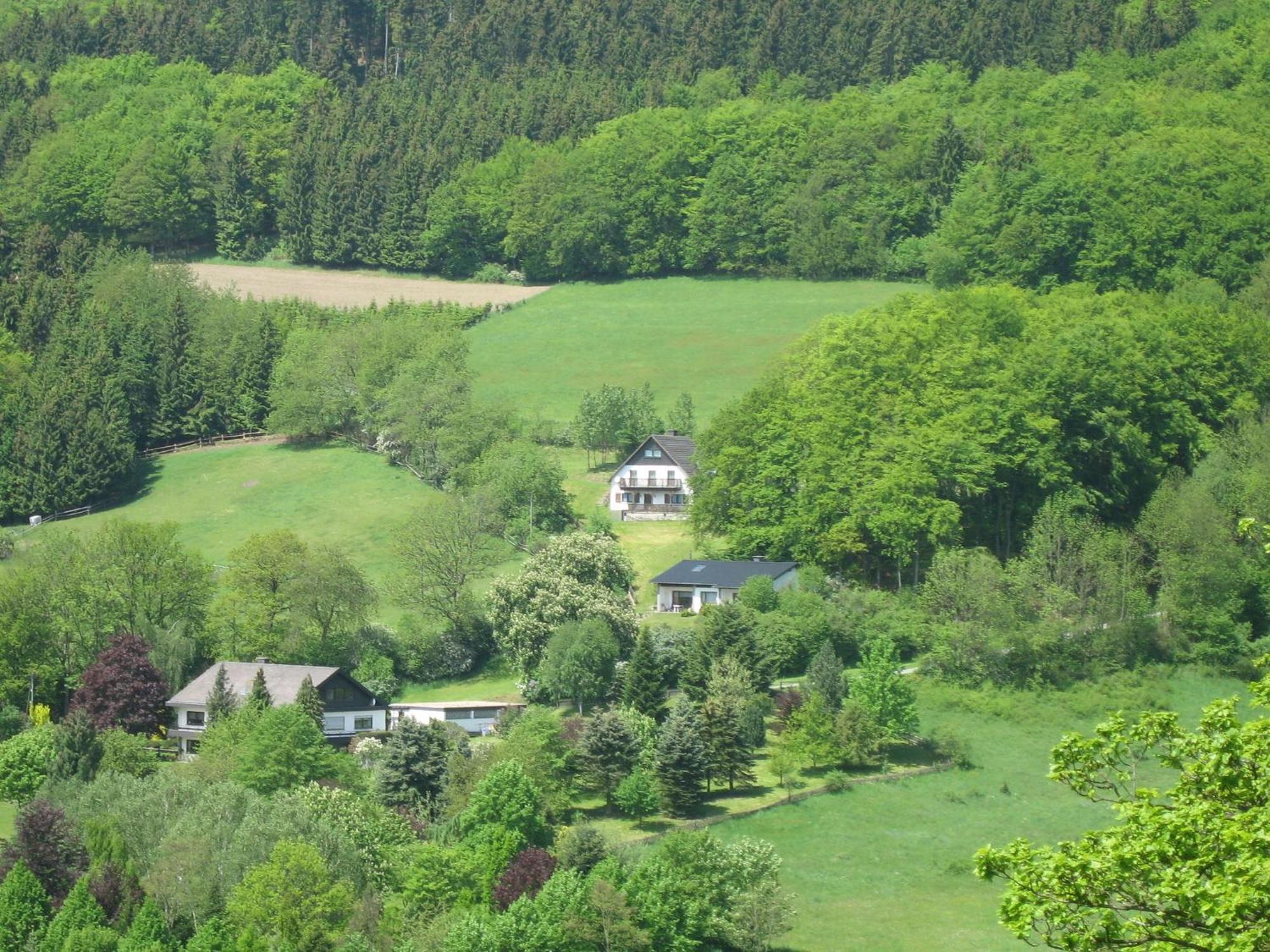 Nice Holiday Home Near Ski Area Medebach Exterior foto